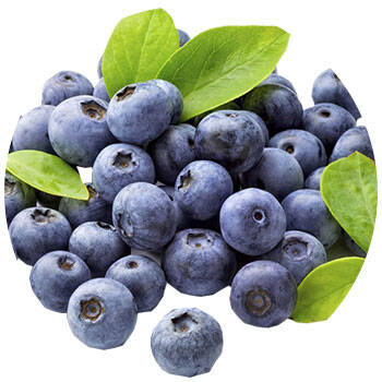Corpore sano Arándano: Antioxidante y Vitaminado