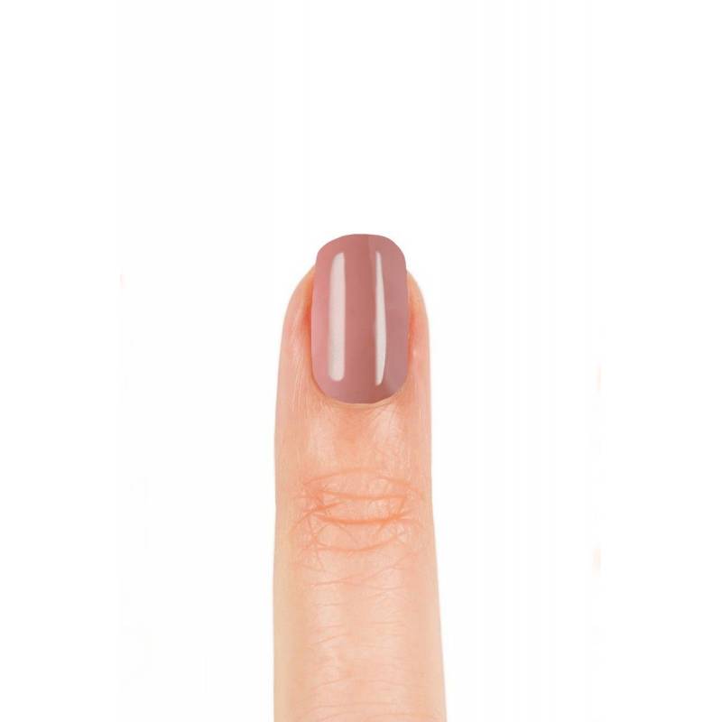 Delfy Studio Gel Polish 10 ÚLTIMAS EDICIONES