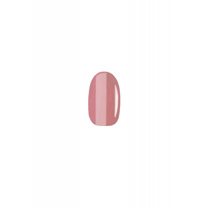 Delfy Studio Gel Polish 10 ÚLTIMAS EDICIONES