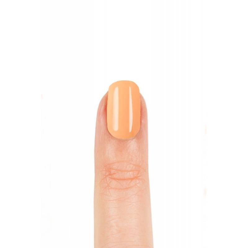 Delfy Studio Gel Polish 26 ÚLTIMAS EDICIONES