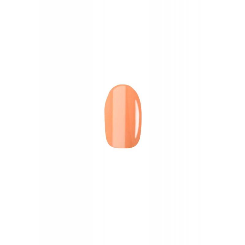 Delfy Studio Gel Polish 26 ÚLTIMAS EDICIONES