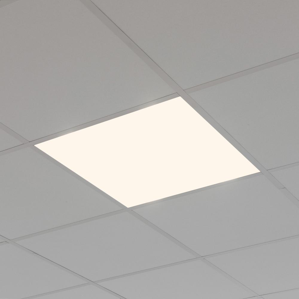 leds c4 Ecofit Solo hoy