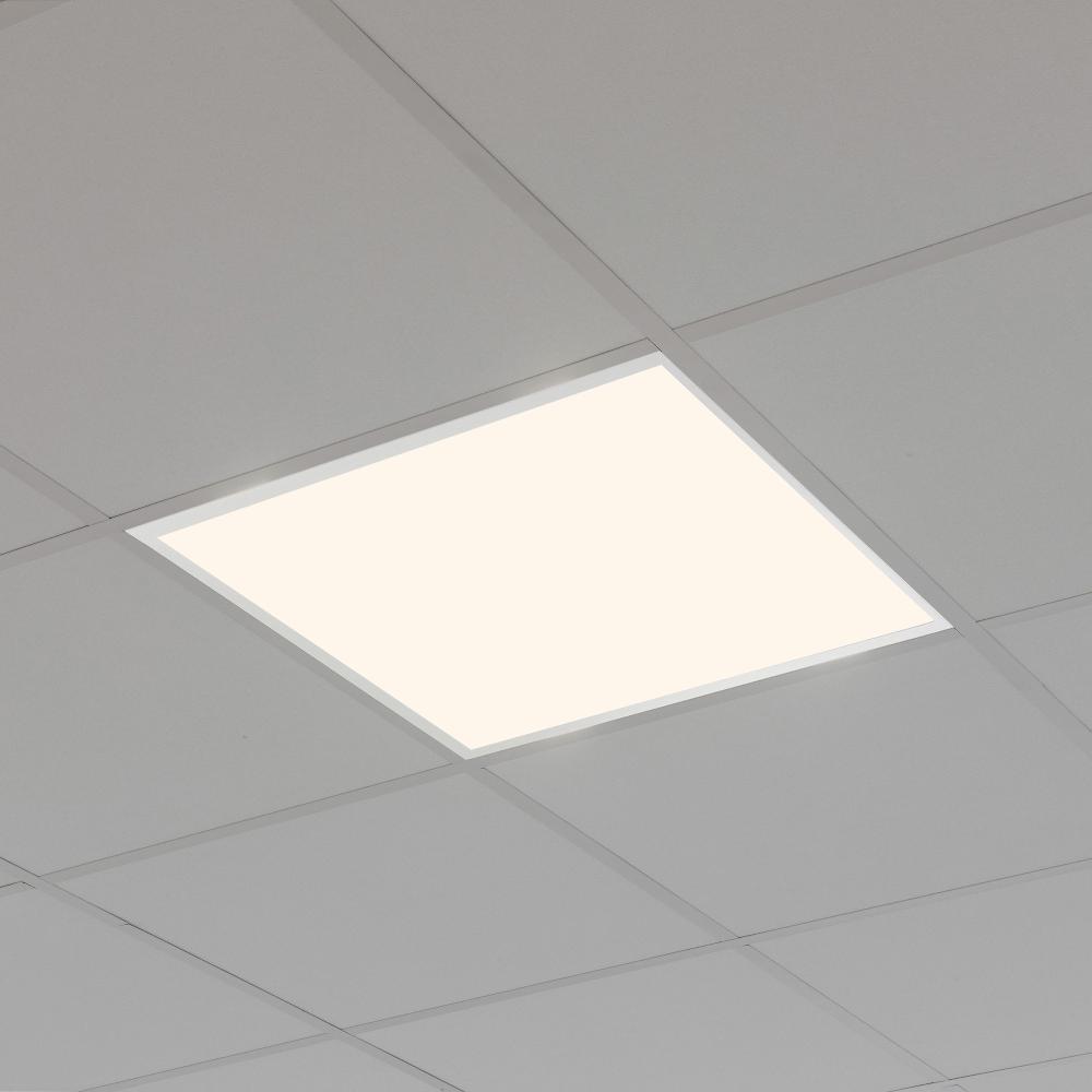 leds c4 Ecofit Solo hoy