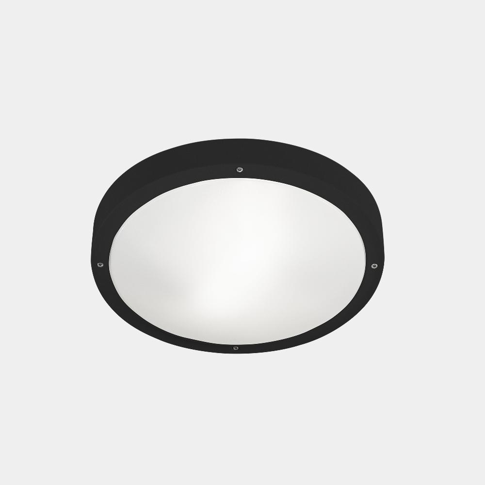 leds c4 Basic En oferta