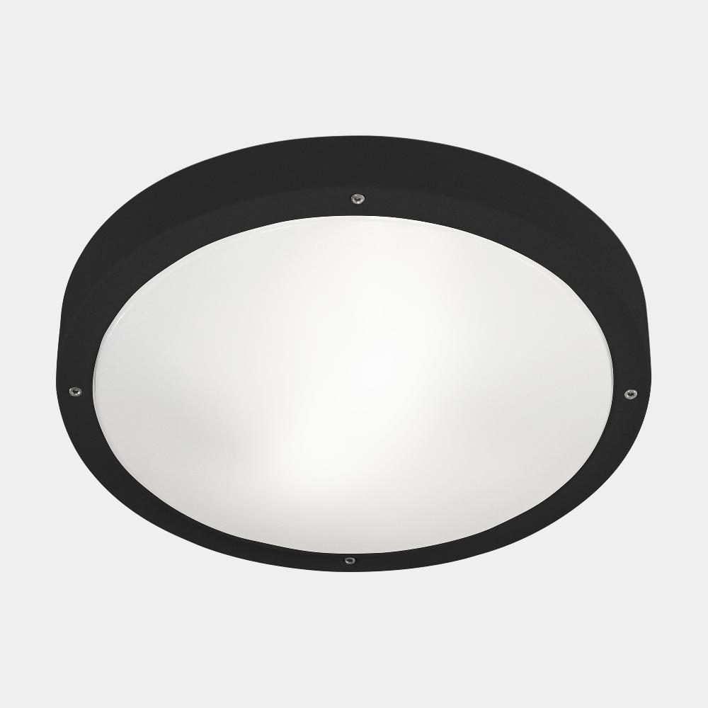 leds c4 Basic En oferta