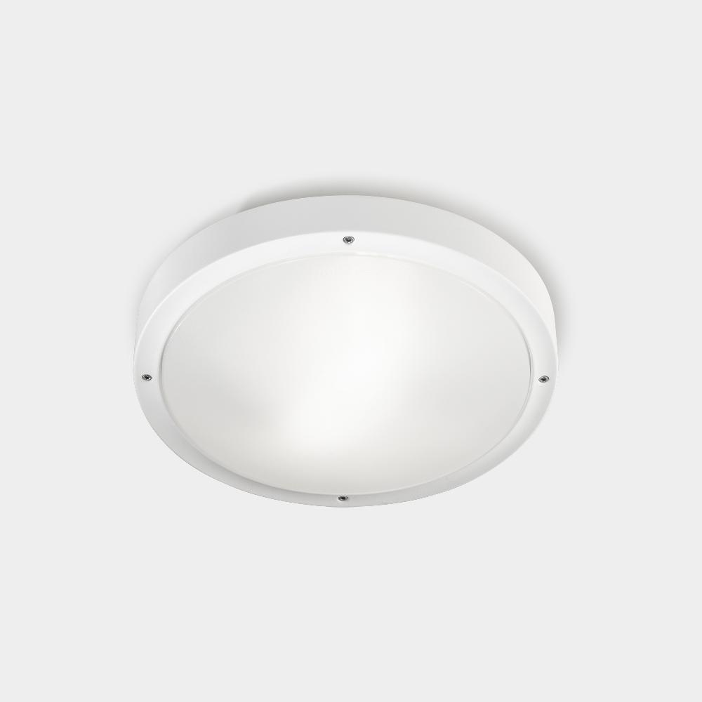 leds c4 Basic En oferta
