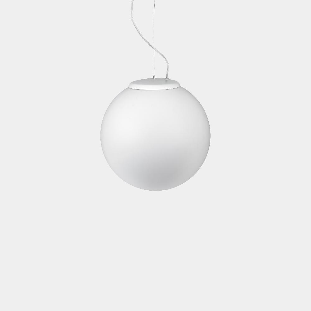 leds c4 Cisne Pendant Venta caliente