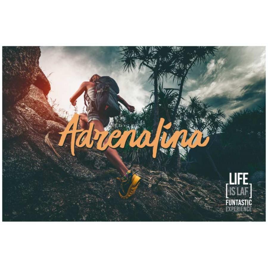 live is laf Box Aventuras Último día