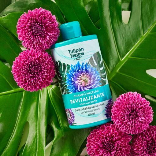 tulipán negro Champú Micelar Tulipán Negro Revitalizante y Fortalecedor