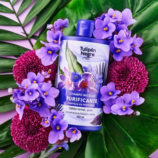 tulipán negro Champú Micelar Tulipán Negro Purificante