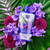 tulipán negro Champú Micelar Tulipán Negro Purificante ÚLTIMAS EDICIONES