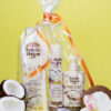 tulipán negro Pack de Regalo Coco Pure White Rebajas baratas
