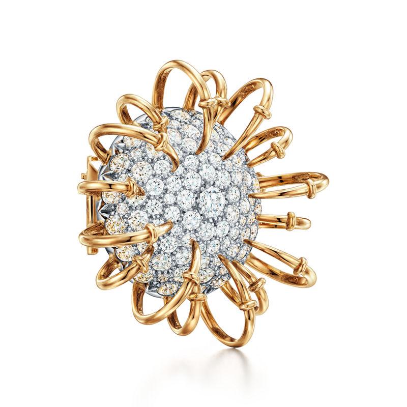 Tiffany & Co. Tiffany & Co. Schlumberger Broche Apollo en oro amarillo y platino con diamantes Mejor oferta