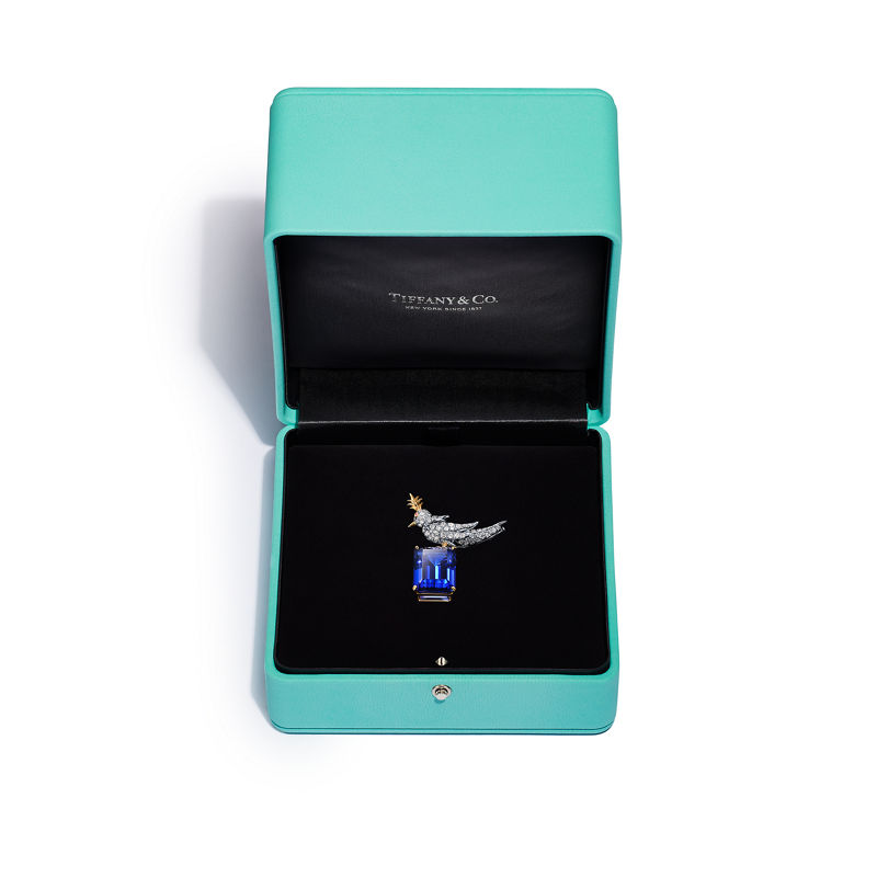 Tiffany & Co. Schlumberger by Tiffany & Co.™ Broche Bird on a Rock en oro amarillo y platino Outlet